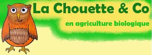 chouette co logo